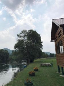 ein Haus neben einem Fluss mit einem Baum in der Unterkunft Vikendica Na Plivi in Šipovo