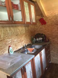 eine Küche mit einer Spüle und einer Arbeitsplatte in der Unterkunft Vikendica Na Plivi in Šipovo