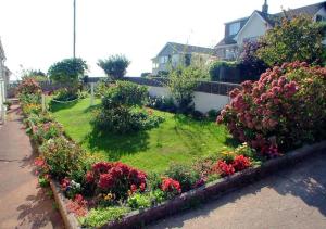 a row of flowers in a garden in a yard at Primley Park in Paignton