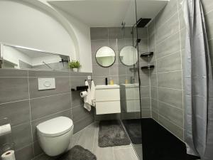 La salle de bains est pourvue de toilettes et de 2 miroirs. dans l'établissement Chice, urbane Oase mit Arbeitsplatz, à Troisdorf