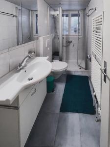uma casa de banho com um lavatório, um WC e um chuveiro em Sunny Garden - Charmantes Chalet mit Aussicht em Aeschi bei Spiez