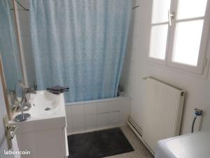 ein Bad mit einem Waschbecken und einem Duschvorhang in der Unterkunft Apartment de Charme in Bordeaux