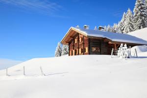a wooden cabin in the snow with snow at Chalet La Trafolée in Manigod