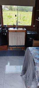 uma cozinha com um lavatório, uma cama e uma janela em Arandu Chalés em Imbituba