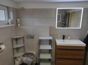 Koupelna v ubytování Apartmán Lanžhot