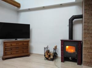 TV a/nebo společenská místnost v ubytování Apartmán Lanžhot
