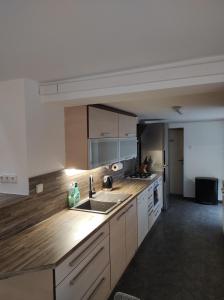 Kuchyň nebo kuchyňský kout v ubytování Apartmán Lanžhot