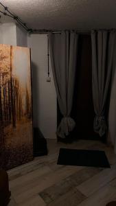 una habitación con una cortina y una pintura en la pared en Apartamenty 3 Pory Roku, en Komarno