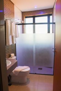 a bathroom with a shower with a toilet and a sink at Porto das Asas Park Hotel in Andradas