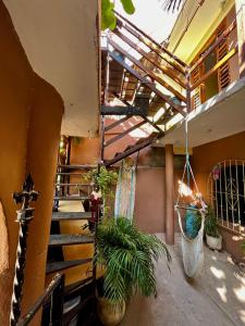 einen Balkon mit Pflanzen und Hängematten in einem Gebäude in der Unterkunft Desactivado in Puerto Escondido