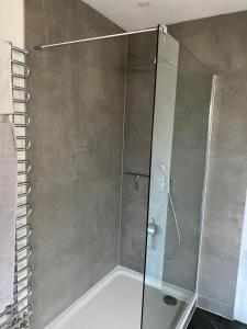 a shower with a glass door in a bathroom at Villa Vincent im Park, nahe Messe, Hannover und Hildesheim in Nordstemmen