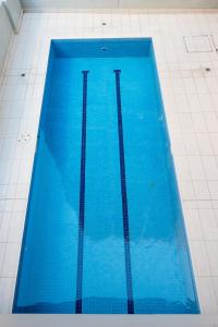 una gran piscina azul en un edificio en APX Darling Harbour, en Sídney