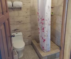 a bathroom with a toilet and a shower curtain at Vista Encantada Hotel & Masajes Profesionales in Villa Canales