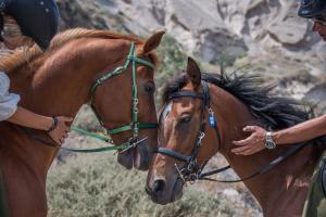 a woman is petting a brown horse at The Three Anchors Rooms in Emboríon