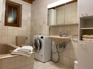 a bathroom with a washing machine and a sink at Ferienwohnung Familie Meinschad in Rietz