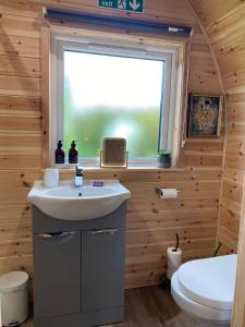 łazienka z umywalką, toaletą i oknem w obiekcie Waterloo Sunset w mieście Breakish