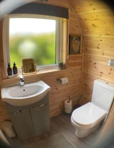 een badkamer met een toilet, een wastafel en een raam bij Waterloo Sunset in Breakish