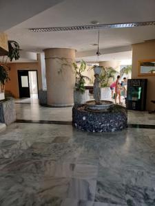 Lobbyen eller receptionen på Apartamento ANANAS Golf del Sur + 17 billeder