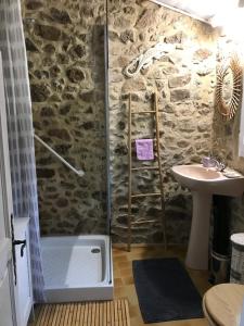 ein Bad mit einer Dusche und einem Waschbecken in der Unterkunft Chambre d'hôte Lavande - Le soleil des Cévennes in Saint-Jean-du-Gard