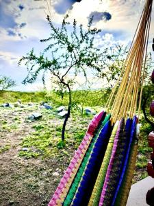 a bunch of colored threads in a hammock with a tree at Monte Sion cabañas & relax in San Javier
