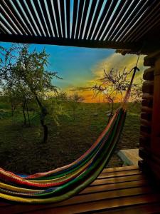 a hammock in a room with a view of a tree at Monte Sion cabañas & relax in San Javier