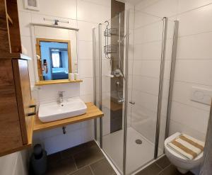 een badkamer met een douche, een wastafel en een toilet bij Stoffelbauer in Pappenheim