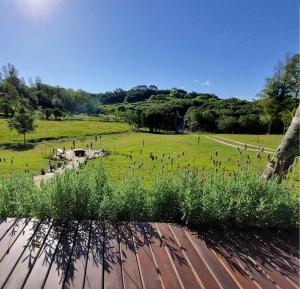 a field with a bunch of birds in the grass at TinyWine House Vale dos Vinhedos - Cabana Chardonnay in Garibaldi +14 photos