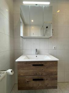 y baño con lavabo y espejo. en CozyWork Studio Apartment 7, en Hohenmölsen