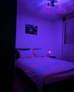 a bedroom with a bed in a purple room at Apartman/Stan na dan Teslić in Teslić +12 photos