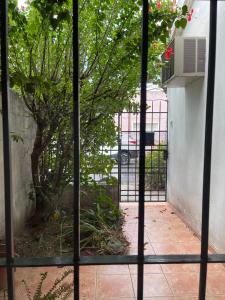 Zahrada ubytování CASA BARRIO UNIVERSITARIO Nicaragua 920