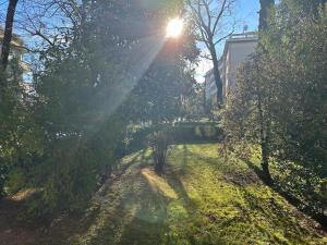 un sol brillando entre los árboles en un parque en appartamento elegante in centro, en Udine