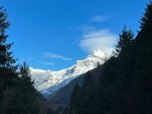 uma montanha coberta de neve no meio de uma floresta em Casa Restelli EG - nahe Andermatt Gotthard em Gurtnellen