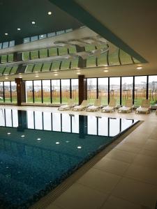 a swimming pool in a building with lounge chairs at Apolonia apartamenty I - SPA in Dziwnów