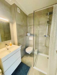 y baño con ducha, aseo y lavamanos. en One bedroom in center with Terrace and Parking, en Luxemburgo