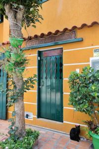 a black cat sitting in front of a building at CANTO DA ARVORE 1 in Arraial do Cabo