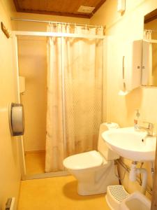 ein Bad mit einem WC, einem Waschbecken und einer Dusche in der Unterkunft Målilla Hotell & Restaurang in Målilla