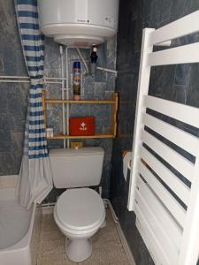 阿洛斯的住宿－VAL D ALLOS，一间带卫生间和水槽的小浴室