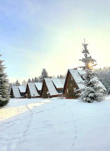 Domki Bieszczady Siedlisko Harenda v zime
