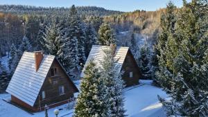 Domki Bieszczady Siedlisko Harenda v zime