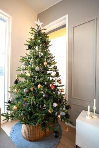 Un árbol de Navidad en una cesta en una sala de estar en Rovaniemi, Luxury house near Santa Claus Village with hot tub, en Rovaniemi
