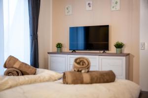 TV o dispositivi per l'intrattenimento presso BoRa Apartments