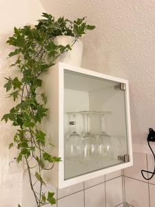 a shelf with wine glasses and a potted plant at NAMI - ROBIN - Helle Apartments mitten in der Stadt in Memmingen