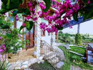 a house with a garden with pink flowers at Pousada Residência Balestra in Tiradentes