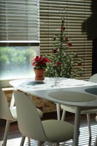 a table with a christmas tree in front of a window at Stay Vibe Healing House in Seoul