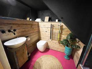 a small bathroom with a sink and a toilet at Fern Studio 1 Bedroom Apartment in Llangollen