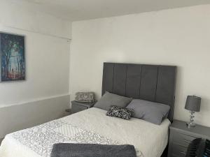 a bedroom with a large bed with two pillows on it at Casa Diaz calle 5 de mayo in Parras de la Fuente +10 photos