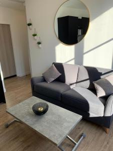 uma sala de estar com um sofá e um espelho em Lumineux appartement Capitole plein centre em Toulouse