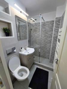a bathroom with a toilet and a shower and a sink at Olive Apartment in Lupeni