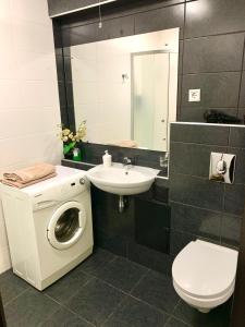 y baño con lavadora y lavamanos. en Kharkiv Apartment , Prospect Nauki 19A, en Járkov
