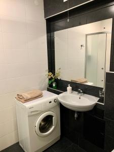 y baño con lavadora y lavamanos. en Kharkiv Apartment , Prospect Nauki 19A, en Járkov